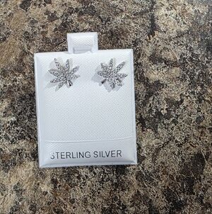 Dazzling Silver Starburst Earrings